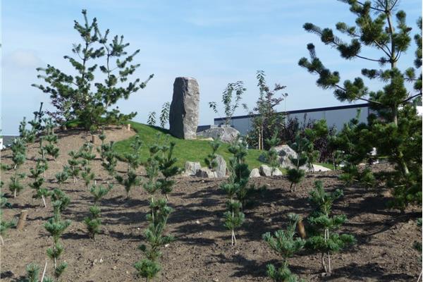 Aanleg Japanse tuin in park Drie Fonteinen - Sportinfrabouw NV